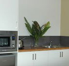 Toolond Plantation - Airlie Beach Holiday
