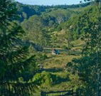 Yarralong BnB and Farm Stay - Airlie Beach Holiday