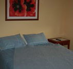 Busy Buzz - Airlie Beach Holiday