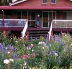 Rose Patch Bed and Breakfast - Airlie Beach Holiday