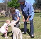 Yarralong BnB and Farm Stay - Airlie Beach Holiday
