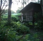 Mount Seaview Resort - Airlie Beach Holiday