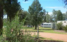 Carrie's Cottage - Airlie Beach Holiday 2