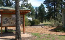 Carrie's Cottage - Airlie Beach Holiday 5