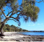 David Jones Cottage - Airlie Beach Holiday