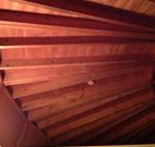 Sea Cottage - Airlie Beach Holiday