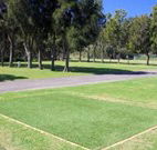 Spotted Gums on Hermitage - Airlie Beach Holiday