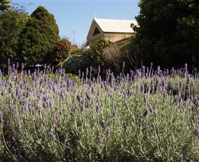 Vacy Hall Toowoomba's Grand Boutique Hotel Since 1873 - Airlie Beach Holiday 2