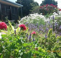 Eastwood Farm - Airlie Beach Holiday