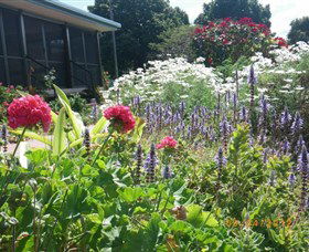Eastwood Farm - Airlie Beach Holiday 0