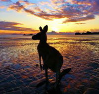 Cape Hillsborough Nature Tourist Park - Airlie Beach Holiday