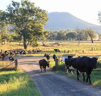 Tommerups Dairy Farmstay - Airlie Beach Holiday