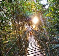 O'Reilly's Rainforest Retreat - Airlie Beach Holiday