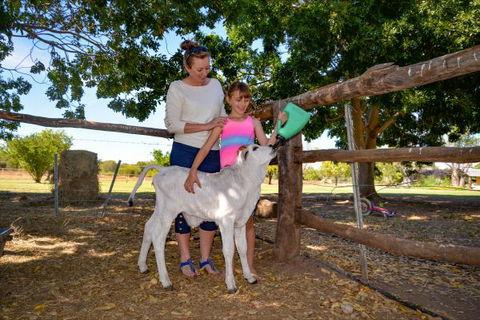 Bullo River Station - Airlie Beach Holiday 3