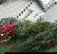 Jenolan Caravan Park - Airlie Beach Holiday