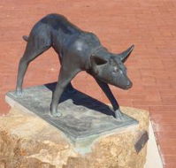 The Ardlethan Kelpie Caravan Park - Airlie Beach Holiday