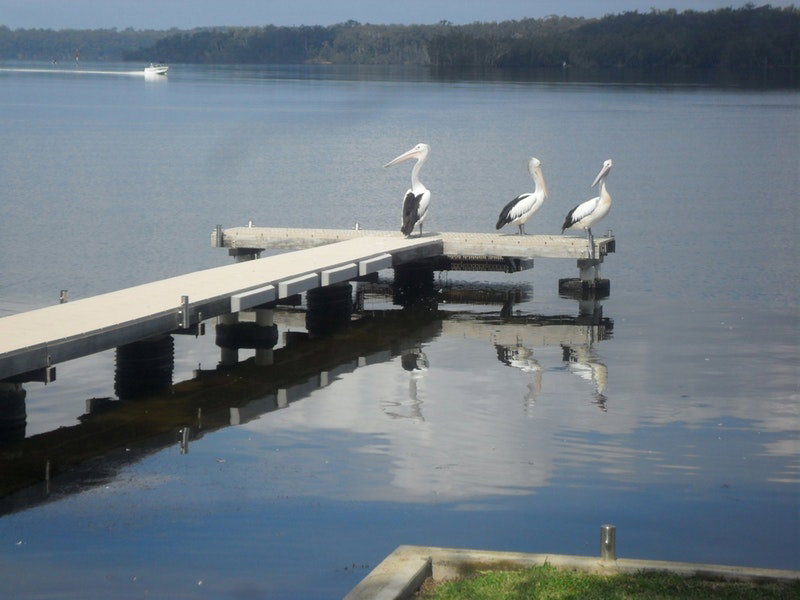 Basin View NSW Airlie Beach Holiday