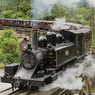 Eastern Dandenong Ranges Visitor Information Centre - Airlie Beach Holiday 7