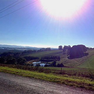 Eastern Dandenong Ranges Visitor Information Centre - Airlie Beach Holiday 9