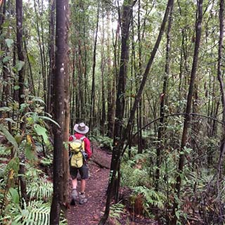 Eastern Dandenong Ranges Visitor Information Centre - Airlie Beach Holiday 11