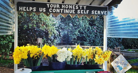 Eastern Dandenong Ranges Visitor Information Centre - Airlie Beach Holiday 15
