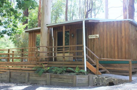 Tarra Valley Caravan Park - Airlie Beach Holiday 1