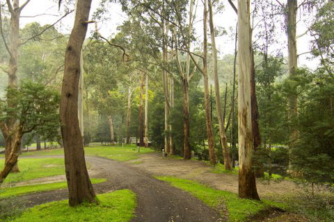 Tarra Valley Caravan Park - Airlie Beach Holiday 6