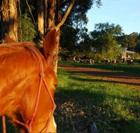 Billa Billa Farm Cottages - Airlie Beach Holiday