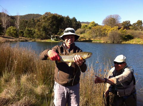 Jamieson Valley Retreat - Airlie Beach Holiday 1