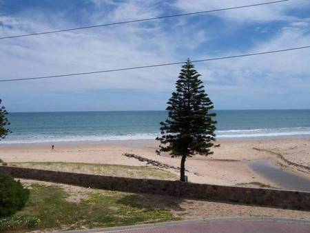 Christie's Seahorse - Airlie Beach Holiday 1