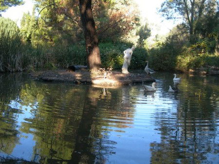 Lyndoch Hill Retreat - Airlie Beach Holiday 2