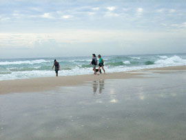 Alfies By The Sea - Airlie Beach Holiday 0