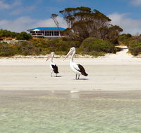 Kangaroo Island Star Beach House