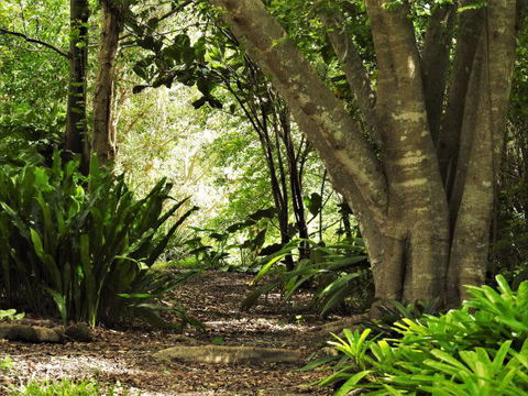 'The Dales' Boutique Bed And Breakfast - Airlie Beach Holiday 7