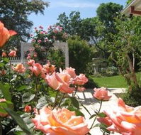 The Clarenton - Airlie Beach Holiday