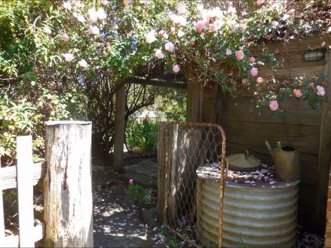Bunjil Farm - Airlie Beach Holiday 7