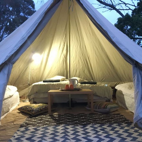 Coonawarra Bush Holiday Park - Airlie Beach Holiday 1