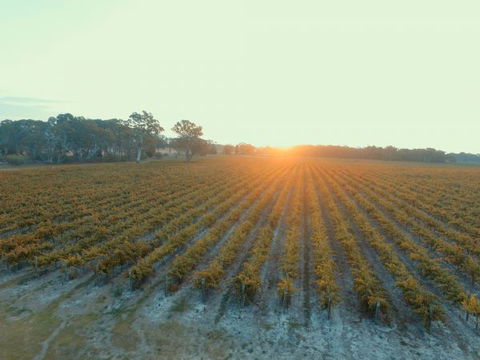 Coonawarra Bush Holiday Park - Airlie Beach Holiday 7