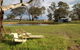 Coonawarra Bush Holiday Park - thumb 10