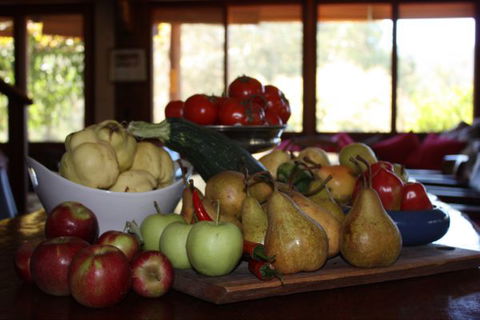 Stockyard Creek - Airlie Beach Holiday 1