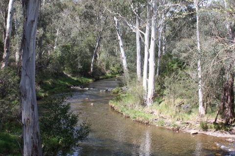 Stockyard Creek - Airlie Beach Holiday 2