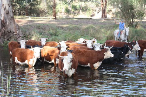 Stockyard Creek - Airlie Beach Holiday 3