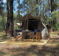 Tall Trees Camping on the Great Ocean Road - Airlie Beach Holiday