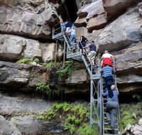 Takarakka Bush Resort Carnarvon Gorge - Airlie Beach Holiday