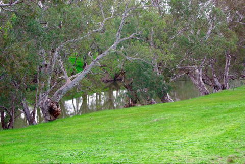 Yalooka Farm - Airlie Beach Holiday 4