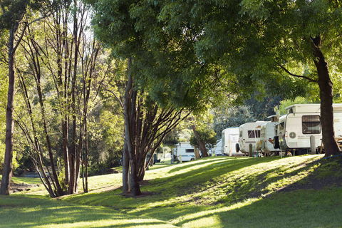 BIG4 Wye River Holiday Park - Airlie Beach Holiday 7