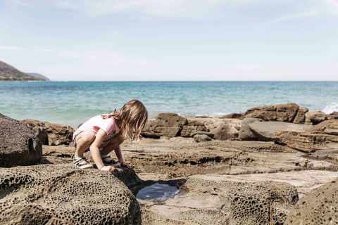 BIG4 Wye River Holiday Park - Airlie Beach Holiday 9
