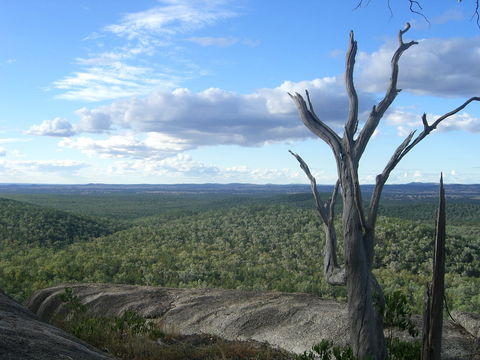 Goat Rock Camping Ground And Tourist Park - Airlie Beach Holiday 0