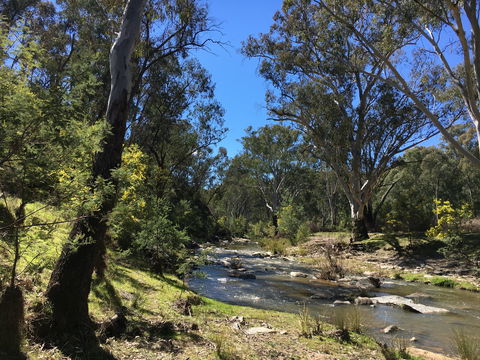 Highfield Farm And Woodland Bush Campsites - Airlie Beach Holiday 0