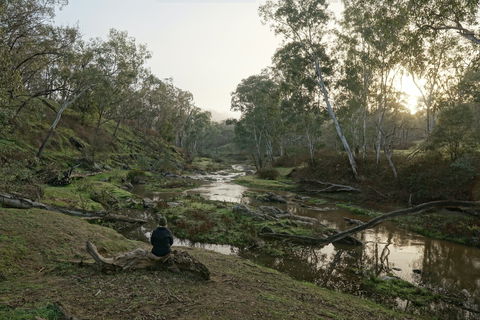 Highfield Farm And Woodland Bush Campsites - Airlie Beach Holiday 2